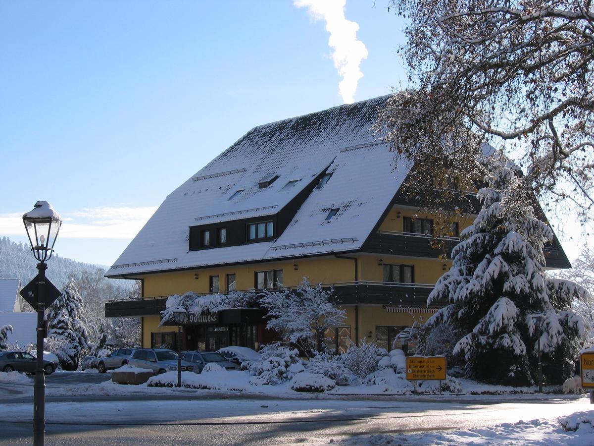 Hotel Sonne Целль-ам-Гармерсбах Екстер'єр фото